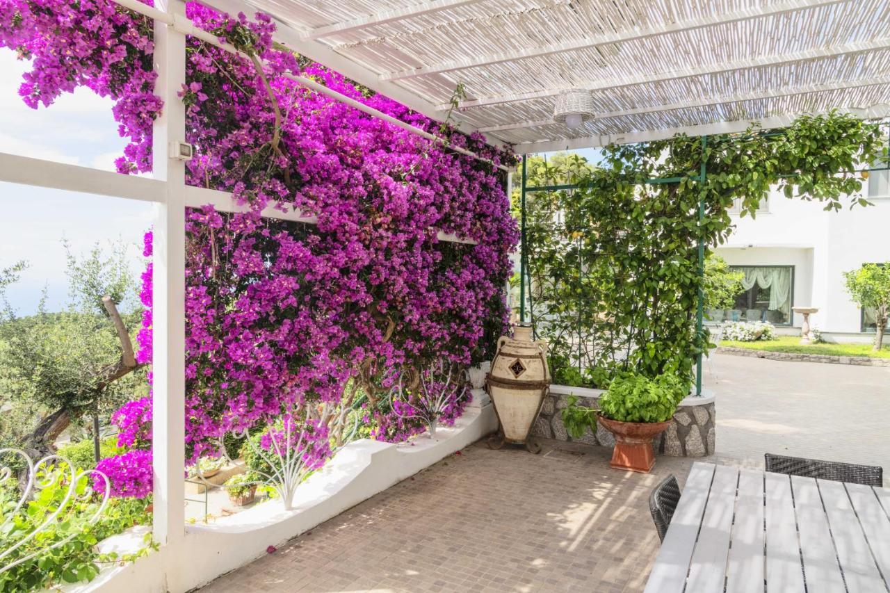 La Canostra Capri - Luxury Villa Anacapri  Exterior photo